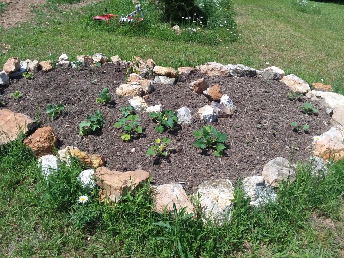 Just planted Heart Garden